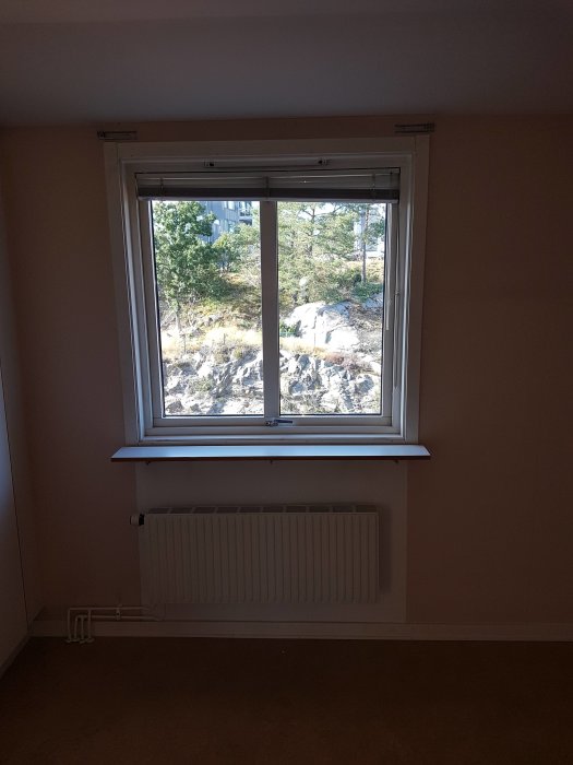 Ett 2-glasfönster i en tom bostadsrum med utsikt över träd och en radiator under fönstret.