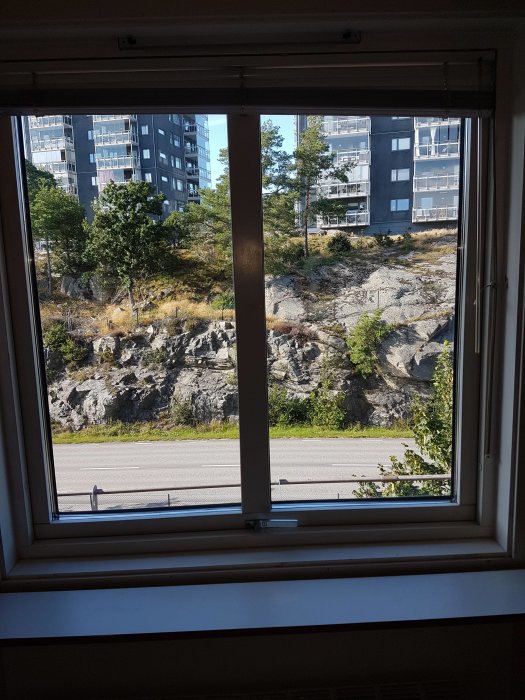 Utsikt genom ett fönster på fjärde våningen med en väg, träd och en byggnad i bakgrunden.