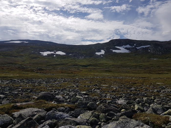 Soligt fjällandskap med stenig mark och snöfläckar nära norska gränsen.