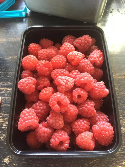 Ungefär 1,5 kg nyuplockade hallon i en svart bricka, redo för att bakas till paj.