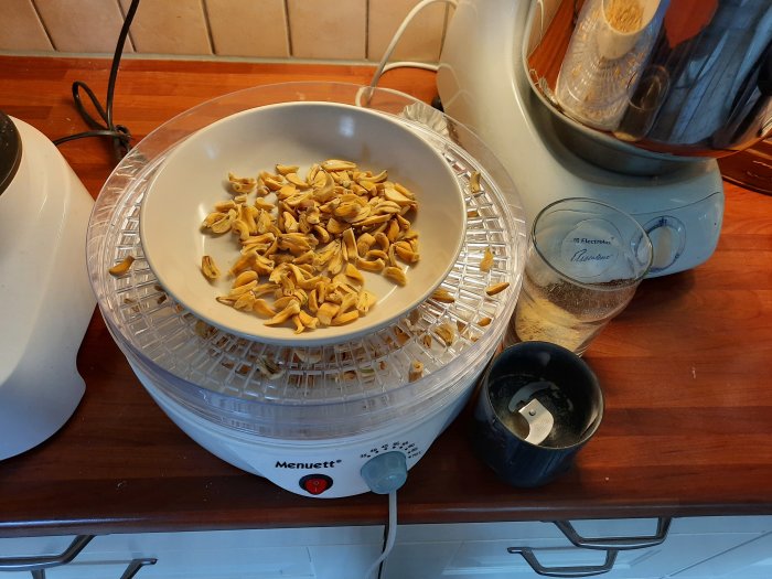 Vitlöksklyftor som torkas i en matdehydrator på ett köksbord med köksutrustning.