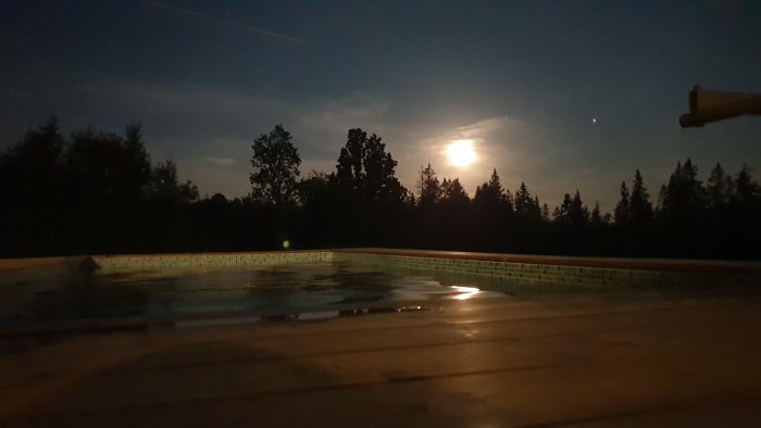 Lugn natt med fullmåne över en ensam pool omgiven av skog.