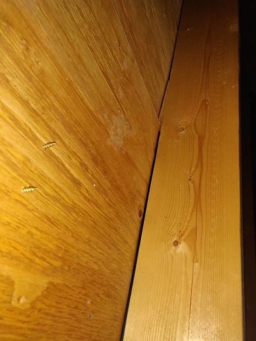 Trätak med synliga svarta prickar indikerande möjlig fuktskada eller mögel.