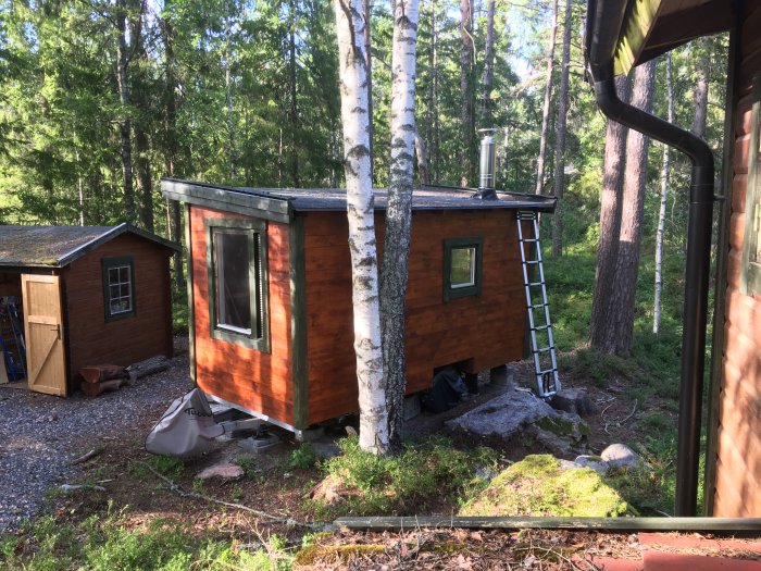 Nyinstallerad skorsten på en bastu i skogsmiljö med en stege lutad mot taket.