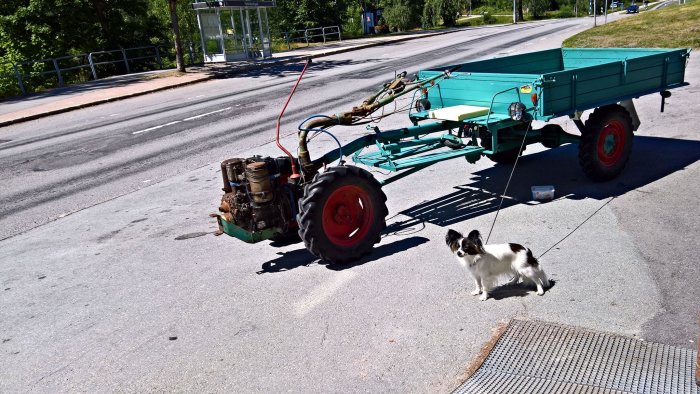 Gammal traktor kopplad till en grön släpvagn på gatan med en hund framför.