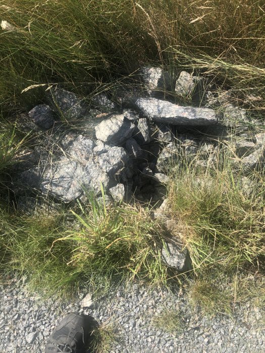 Ett mystiskt hål bredvid en grusväg med utspritt grus och stenar, omgivet av grönt gräs, som kan vara orsakat av ett djur.