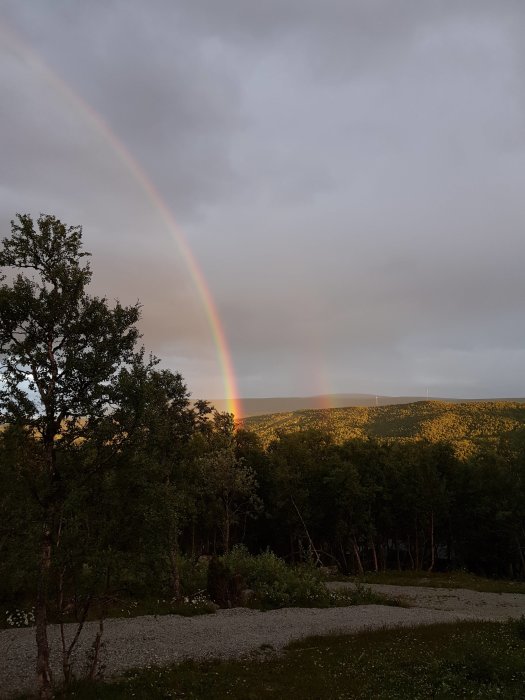 Dubbel regnbåge över en skogklädd kulle vid solnedgång med mörka moln i himlen.