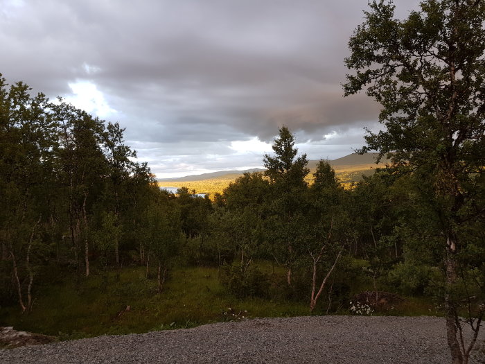 Skymningsvy över en skog med dramatisk molnhimmel och fjärran berg i bakgrunden.