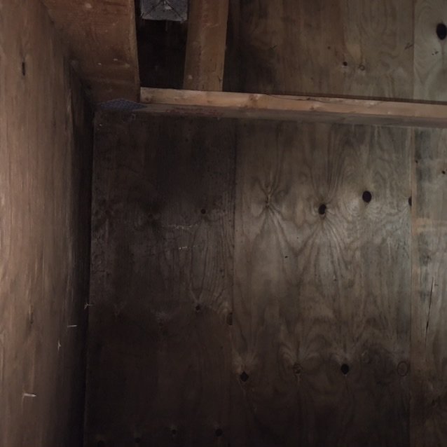 Puuvillassa olevia tummia tahroja ullakon seinällä.