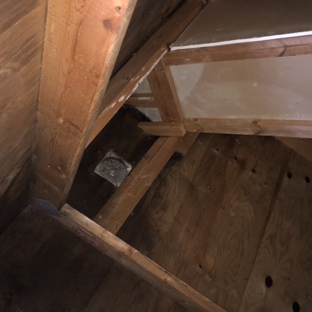 Vintillä puinen rakenne, jossa on pieni harmaa pesä ilmestynyt kattohirren kulmaan.