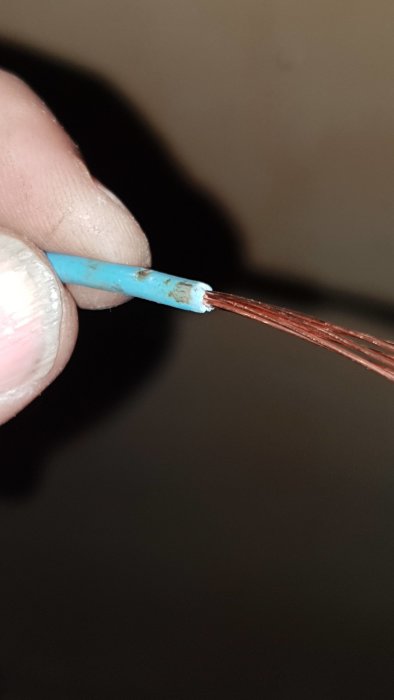 Närbild på en avskalad elektrisk kabel utan synliga skador på koppartråden eller isoleringen.