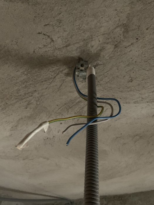 Elektriska kablar med blå, brun och gulgrön ledare sticker ut från ett rör i taket.