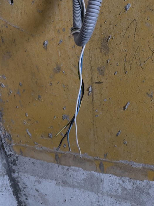 Elektrisk kabel med blå och gulgrön ledare som sticker ut från betongvägg för installation.