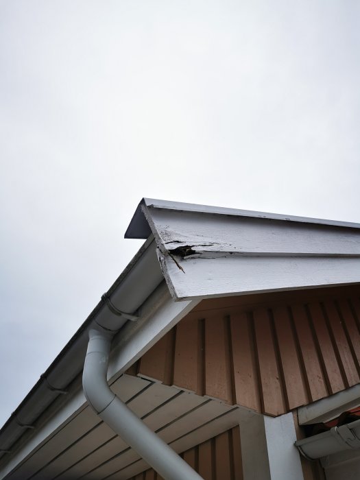 Skadad vindskiva med flagande färg och tecken på röta vid hörnet av ett hus med takränna.