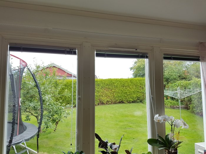 Utsikt genom ett fönster med vitmålade lister som ger en gulaktig ton, mot en grönskande trädgård.