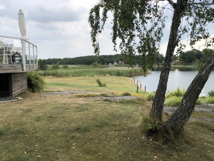 En solblekt gräsmatta vid en sjö med högt gräs och ogräs, nära en veranda och träd.