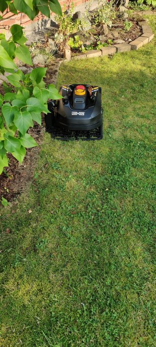 Robotgräsklippare utan anslutna kablar placerad på en gräsmatta nära en blomsterbädd och stenar.