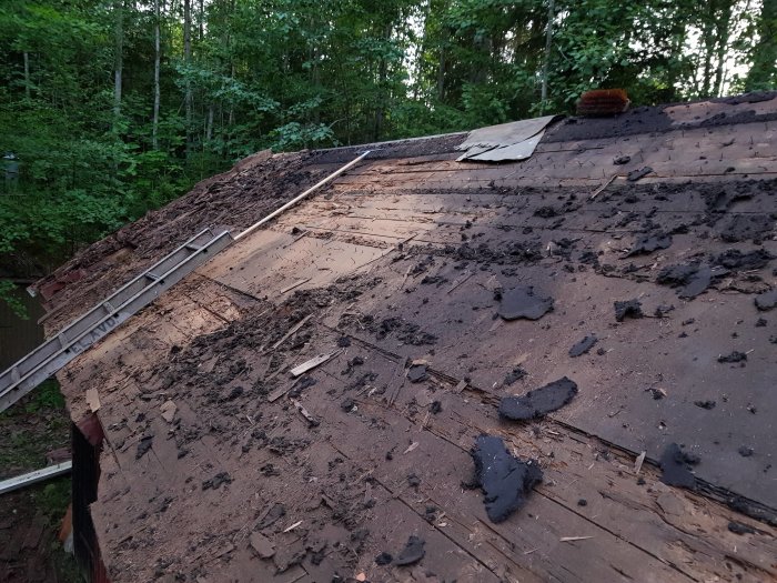 Delvis avlägsnat tak med synliga träplankor och rester av svart takpapp, med skog i bakgrunden.