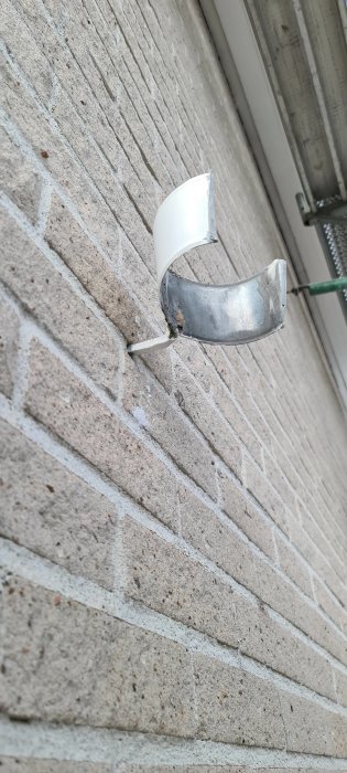 20200811_184231.jpg
