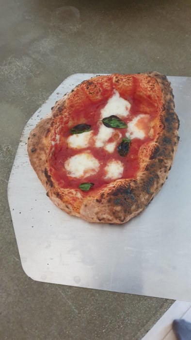 Hemgjord pizza med ojämn form, tomatsås, basilika och ost på en pizzaspad.