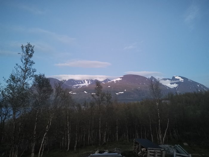 Utsikt från en trädäckad terrass med björkträd i förgrunden och snöklädda berg i bakgrunden under en klar himmel.