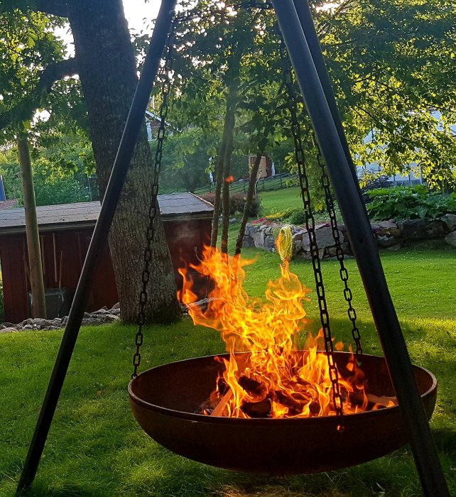 Eld brinner i en hängande grillgryta i en trädgård med grönt gräs och träd i bakgrunden.