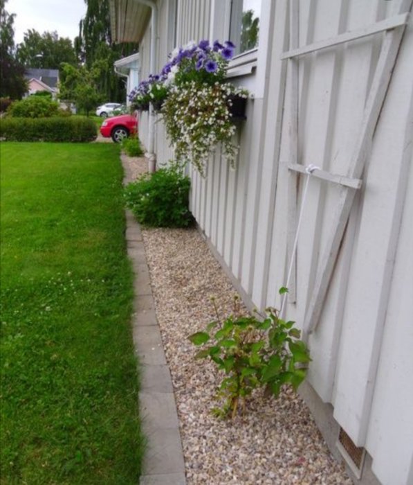 En grusad rabatt bredvid ett vitt hus med blomsterlåda och enstaka små växter, vid en gräsmatta.