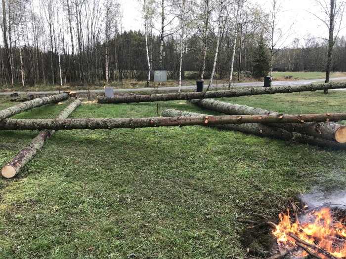 Fällda träd uppradade på marken med en eld brinnande i förgrunden på en gräsplätt.