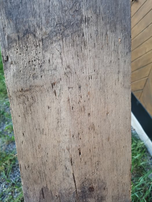 Åldrad golvbräda med synbar trästruktur och slitage, möjligen från ett renoverat uthus.