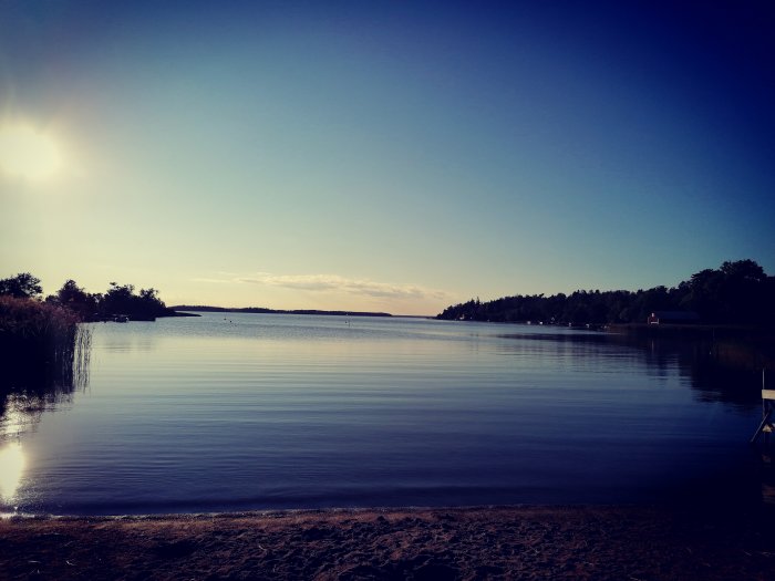 Kvällssol speglar sig i lugnt vatten vid en sjöstrand med vegetation och en brygga synlig.