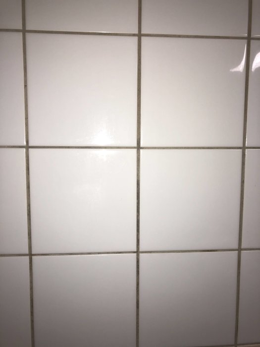 EE7E57E5-3E11-42A5-B890-B8A61169D7A1.jpeg