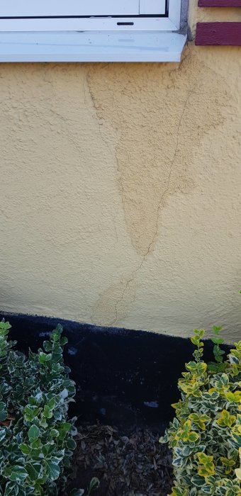 En närbild av sprickor i en gul husfasad där den längsta sprickan är cirka 2 meter.