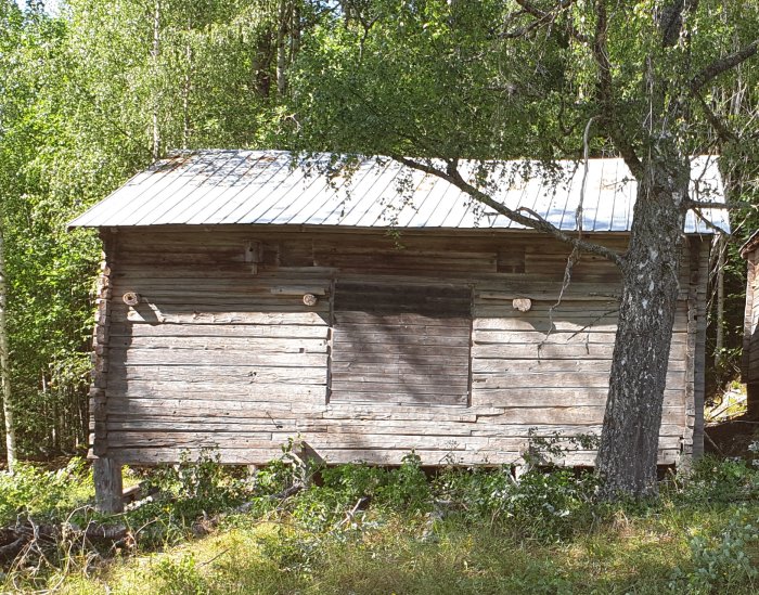 Gammal timmerloge som lutat sig med synliga murkna träplintar och en lutande trädgård runtom.