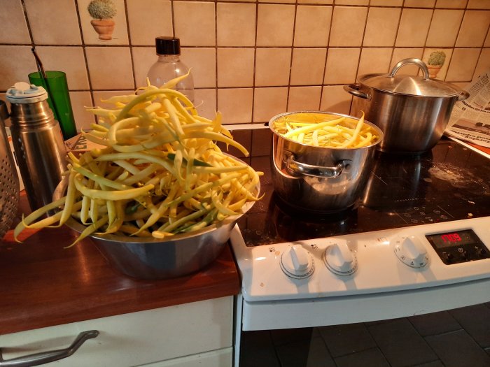 Skål och kastrull fyllda med nyss skördade gula bönor på ett köksspis.