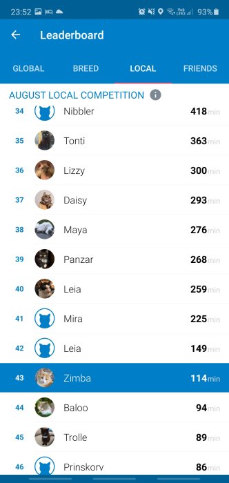 Skärmdump av en leaderboard i en GPS-spårningsapp för husdjur med olika katters namn och aktivitetstid.