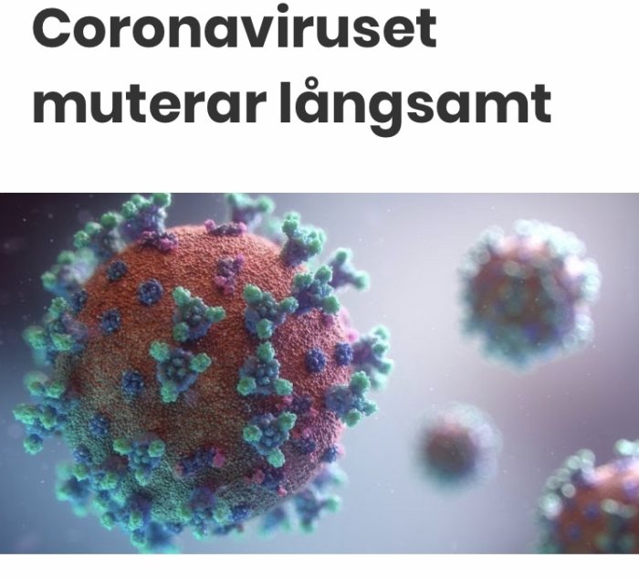 Grafisk framställning av coronaviruset med texten "Coronaviruset muterar långsamt" ovanför.