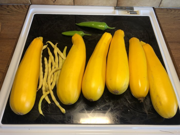 Gul skörd av pumpor och bönor med en jalapeno på ett köksbord.