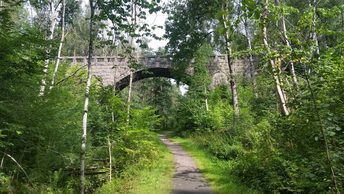 Stenbro omgiven av grönska i en lummig skogsmiljö med en gångstig som leder fram.