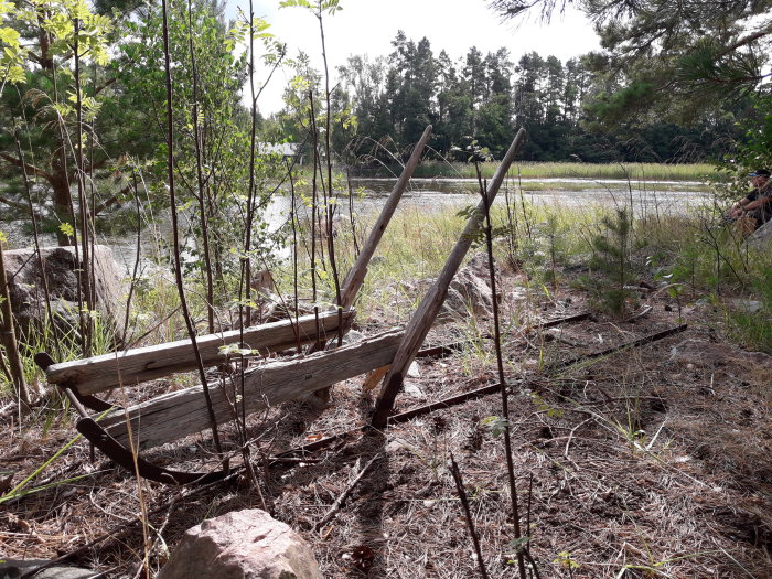 En gammal bänk i förgrunden med utsikt över en sjö och omgiven av skog och vegetation.