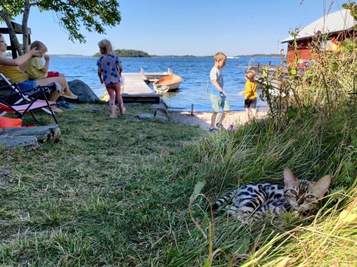 Familj vid sjö med brygga, roddbåt och en katt som ligger i gräset i förgrunden.