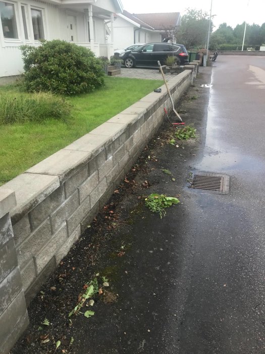 Ogräs som växer genom lagningsasfalt längs trottoarkant nära hus och stenmur.