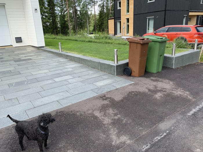 Nybyggd husgrund med stenplattor, gräsmatta, sophantering och en svart hund.
