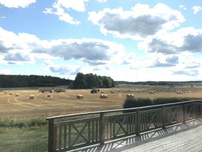 Utsikt från en terrass över ett fält med mängder av halmrullar och en traktor i fjärran under en molnig himmel.