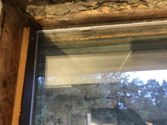 Detaljbild av ett fönster med ruff timmervägg och isolering, synlig mögel och kondens mellan glasen.