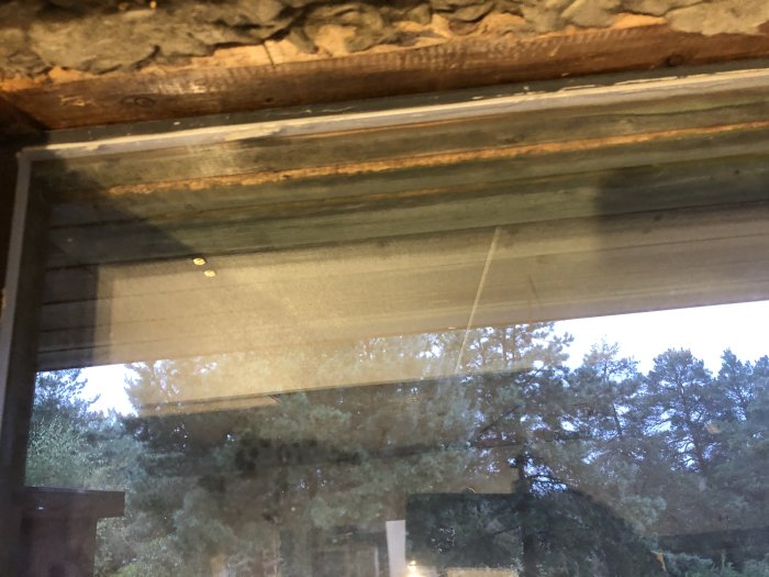 Utsikt genom ett fönster med kondens och rått trä som visar tidiga tecken på fuktproblem eller röta.