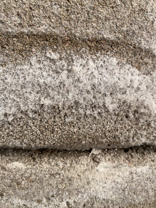 Fluffiga vita saltavlagringar som sticker ut från en betongvägg, indikation på fuktproblem.