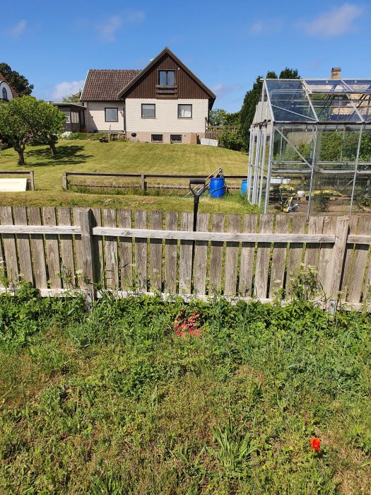 Trädgård med hus, gräsmatta, växthus och en gammal cykel bakom ett trästaket under solig himmel.