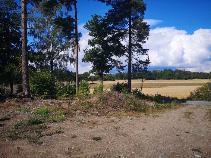 Utsikt över ett öppet fält omgivet av träd under en klar himmel med fluffiga moln.