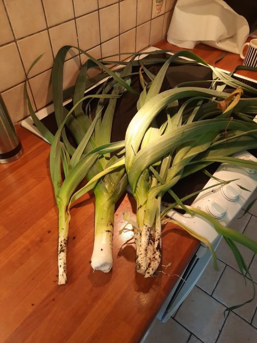 Två nyskördade purjolökar ligger på ett köksbord med jordrester på rötterna.