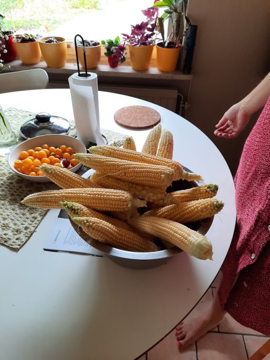En skål med majskolvar på ett köksbord, flankerad av köksväxter och någon som står bredvid.